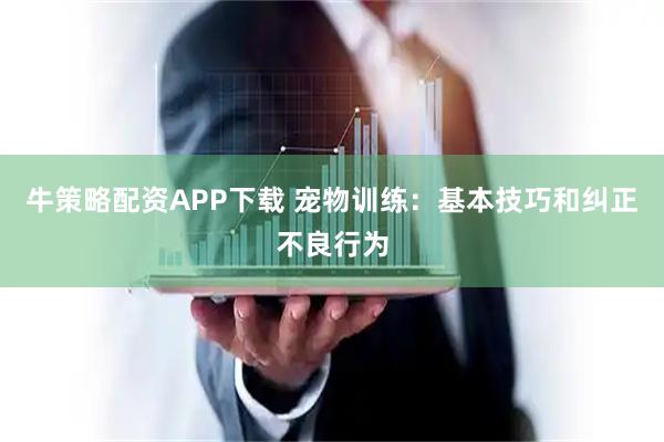 牛策略配资APP下载 宠物训练：基本技巧和纠正不良行为